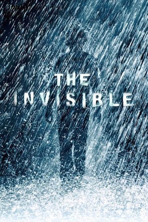 The Invisible 2007 Hindi Dual Audio BRRip Hevc [150MB]